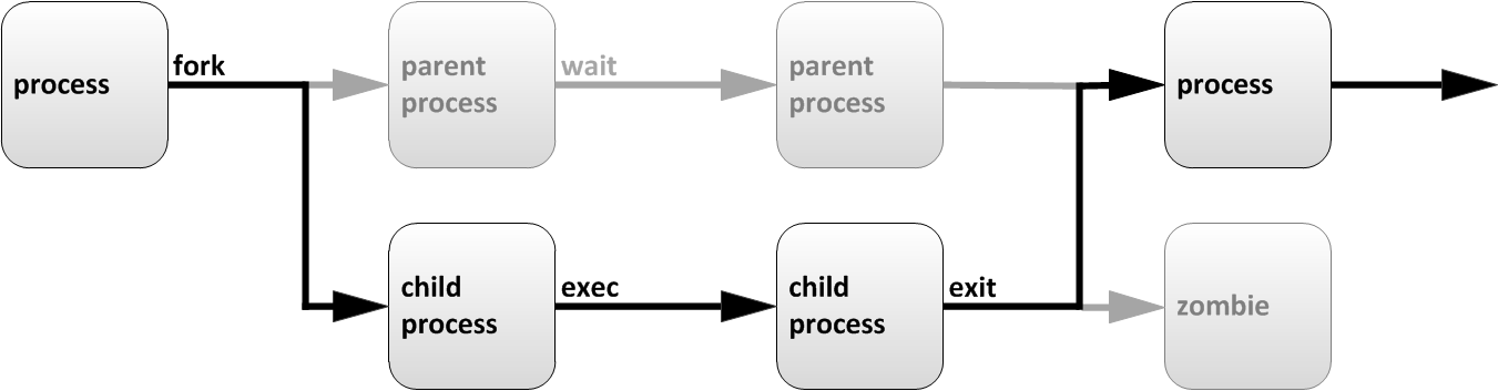 Process life cycle