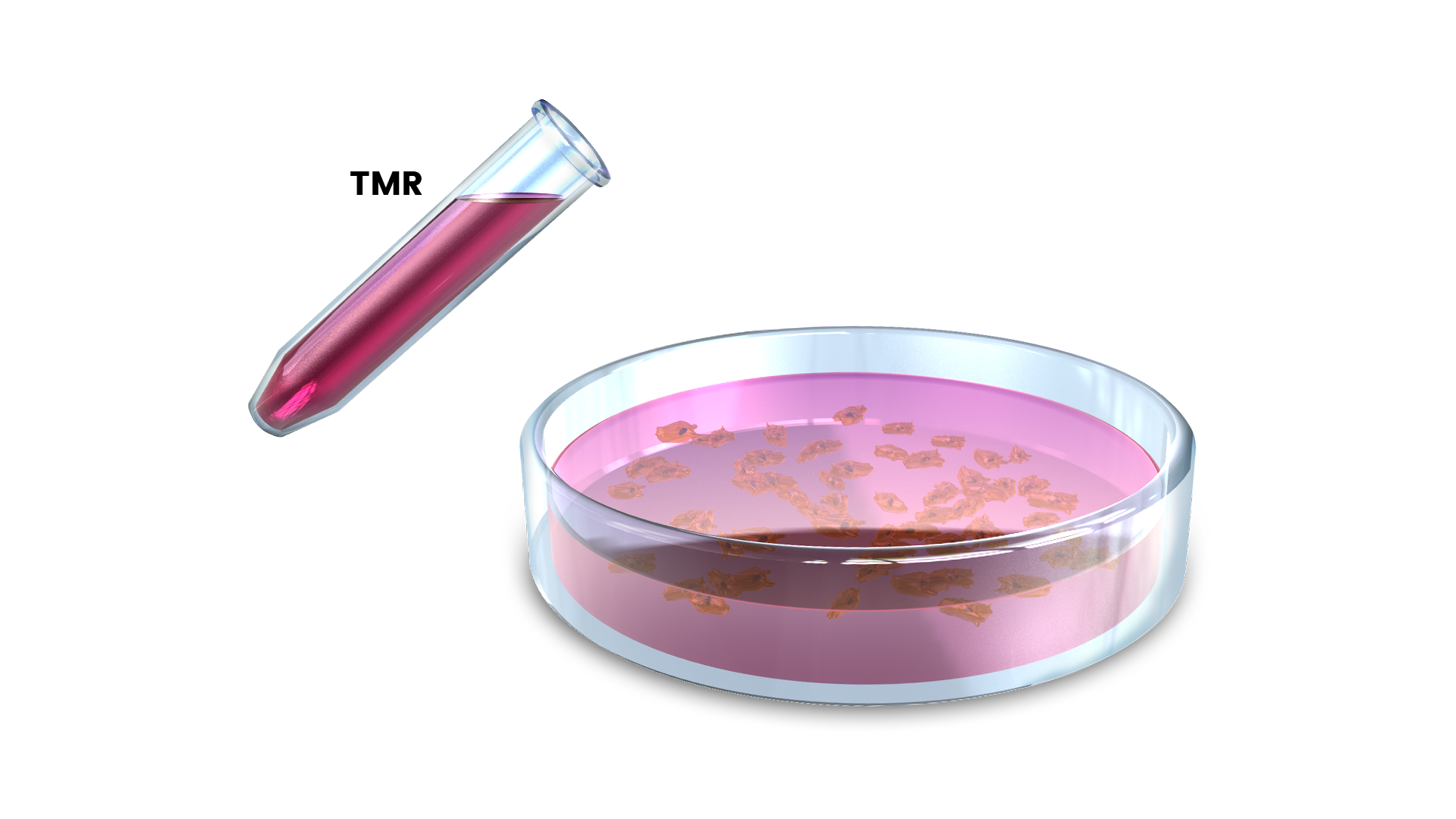 Solved Q3. Your lab has recently identified a small | Chegg.com