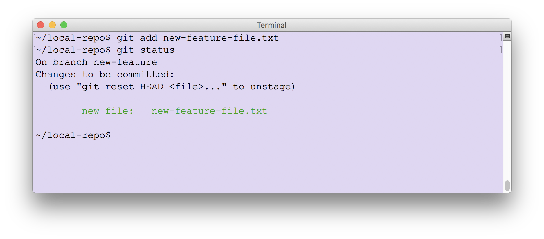 Checking branch status after adding a new file