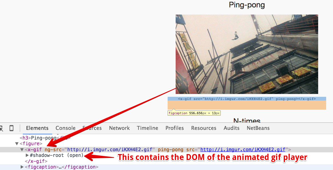 shadow root of the x-gif web component