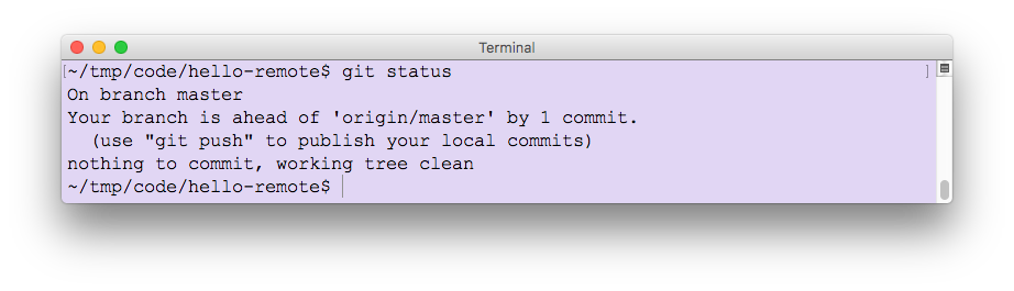 Git status after local edits.