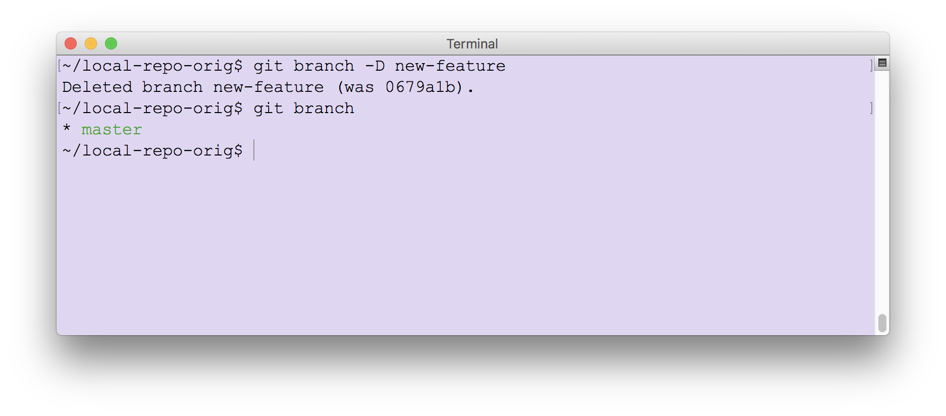 Deleting a branch